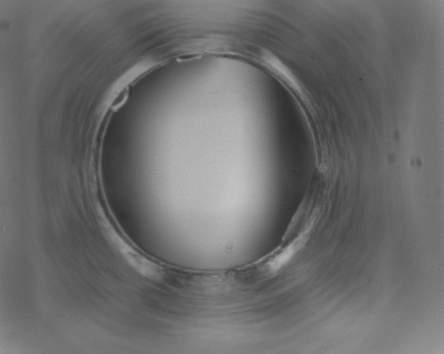 X0000077381434200611031925