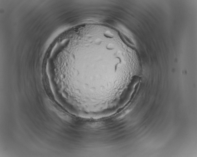 X0000077381435200611031925