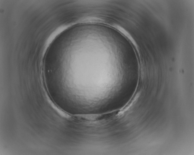 X0000077381437200611031925