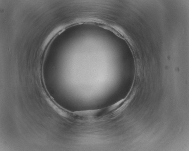 X0000077381438200611031925