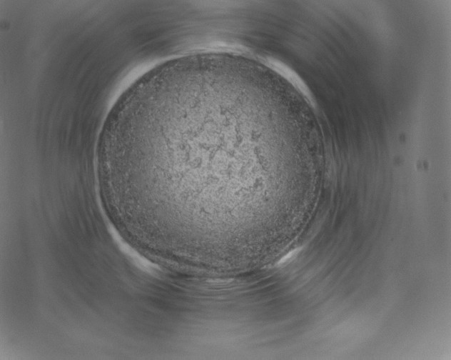 X0000077381439200611031925