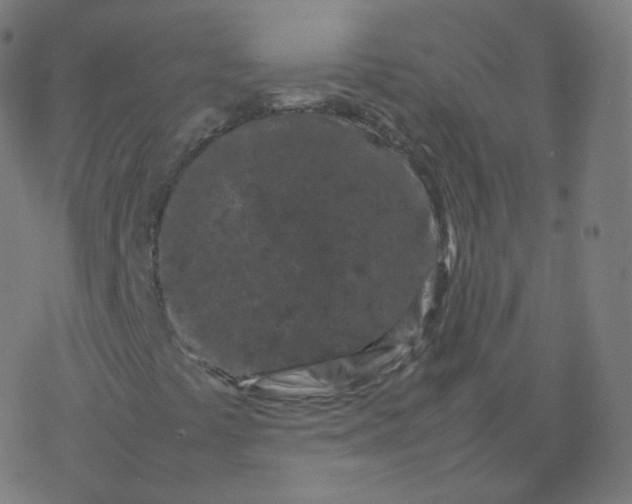 X0000077381441200611031924