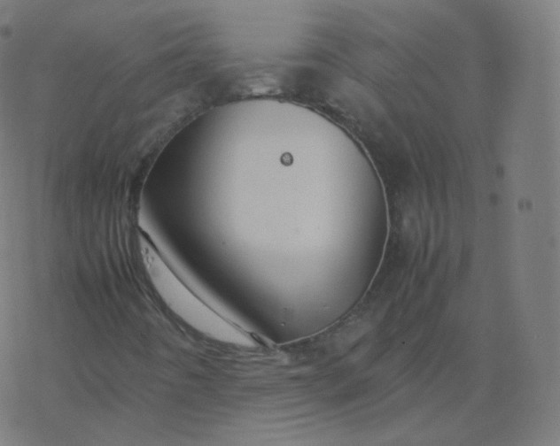 X0000077381442200611031924