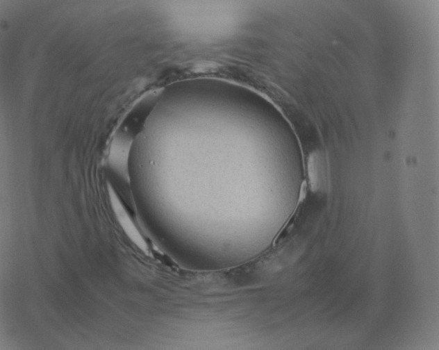 X0000077381443200611031924