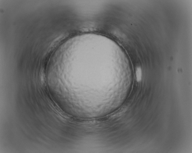 X0000077381444200611031924