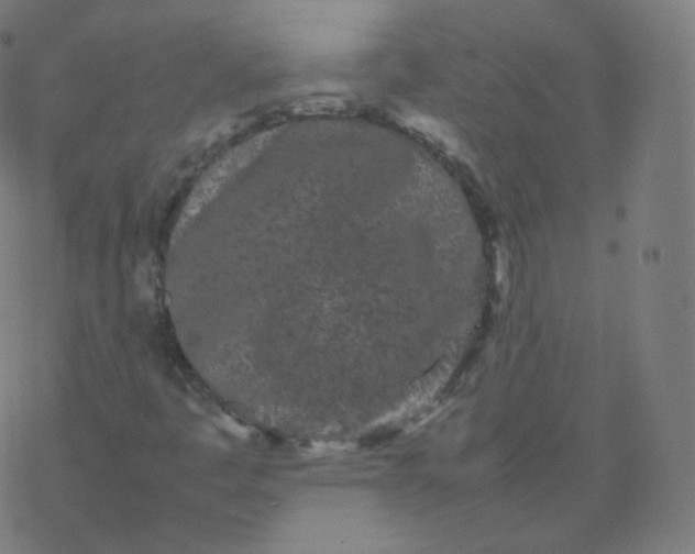 X0000077381445200611031924