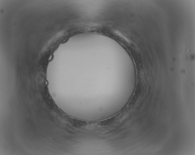 X0000077381447200611031924