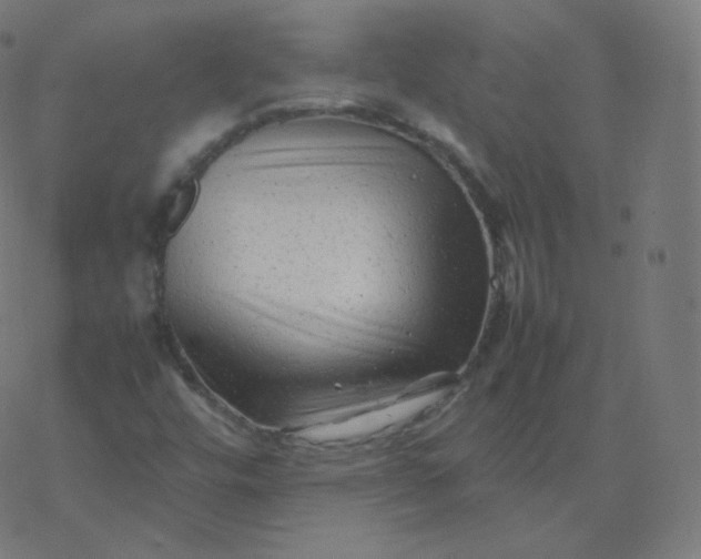 X0000077381448200611031924