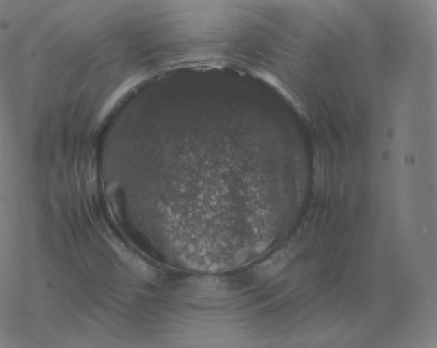 X0000077381450200611031924