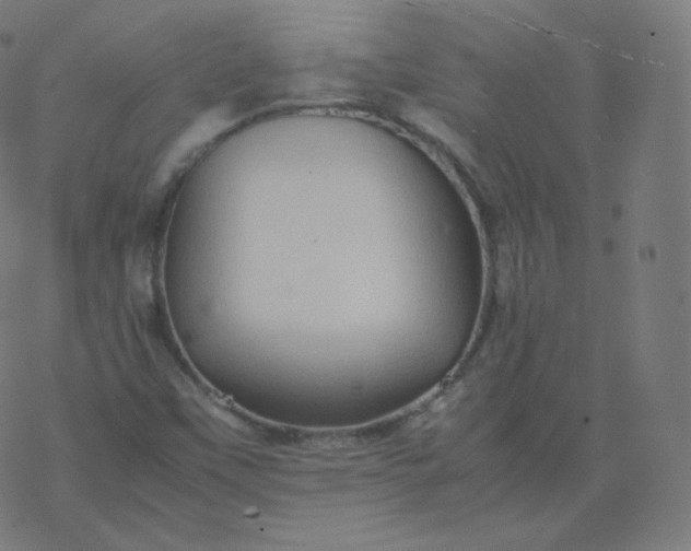 X0000077381451200611031924