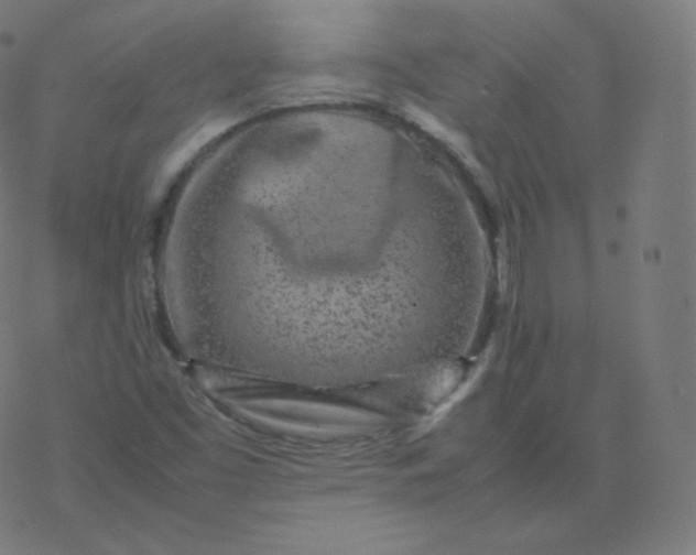 X0000077381453200611031924