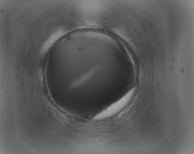 X0000077381455200611031924