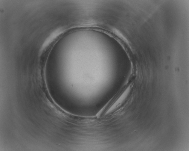 X0000077381456200611031924