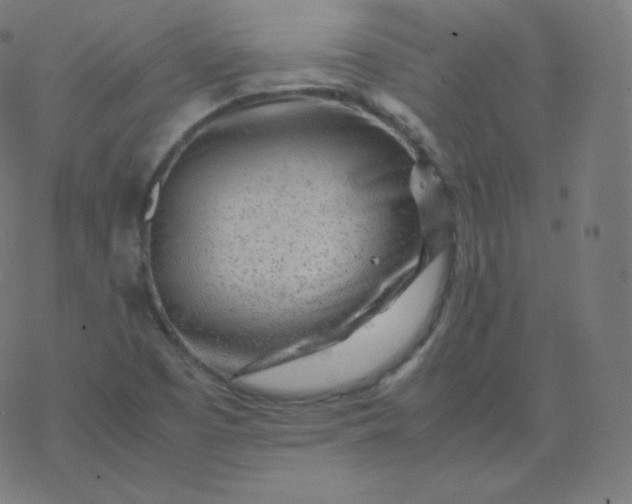 X0000077381457200611031924