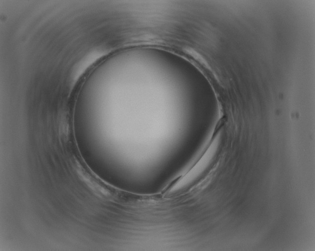 X0000077381458200611031924