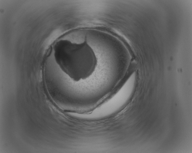 X0000077381459200611031924