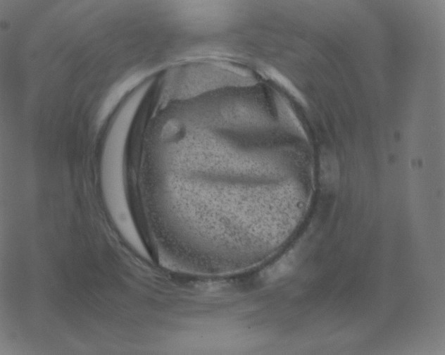 X0000077381461200611031924