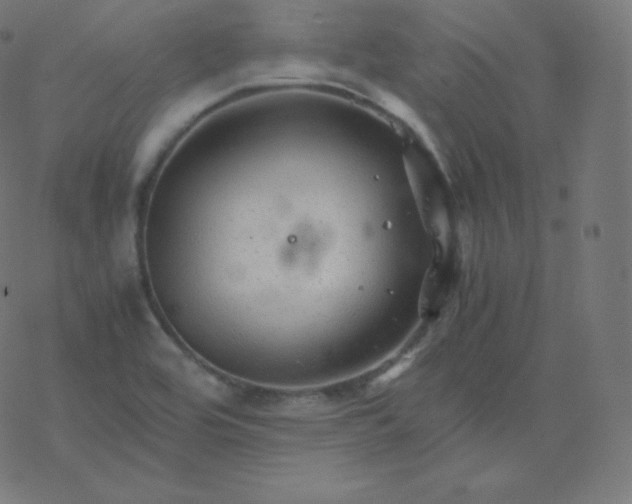 X0000077381464200611031924