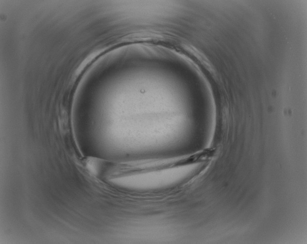 X0000077381465200611031924