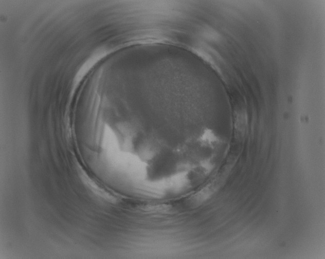 X0000077381466200611031924