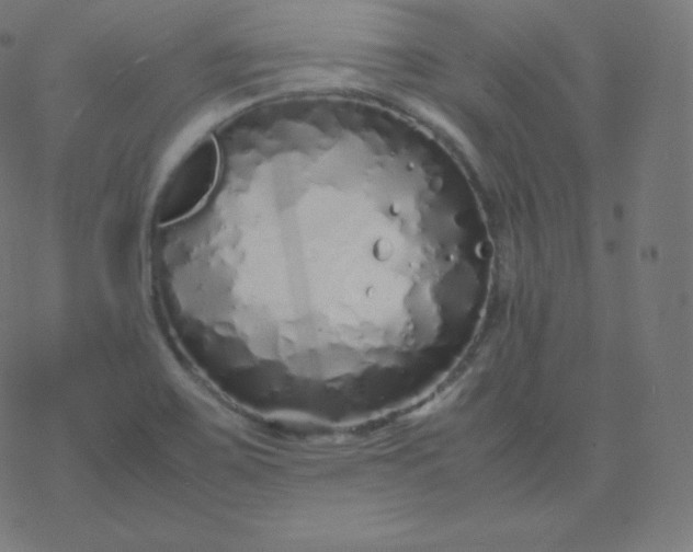 X0000077381467200611031924