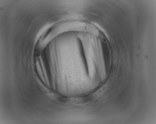 X0000077381469200611031924