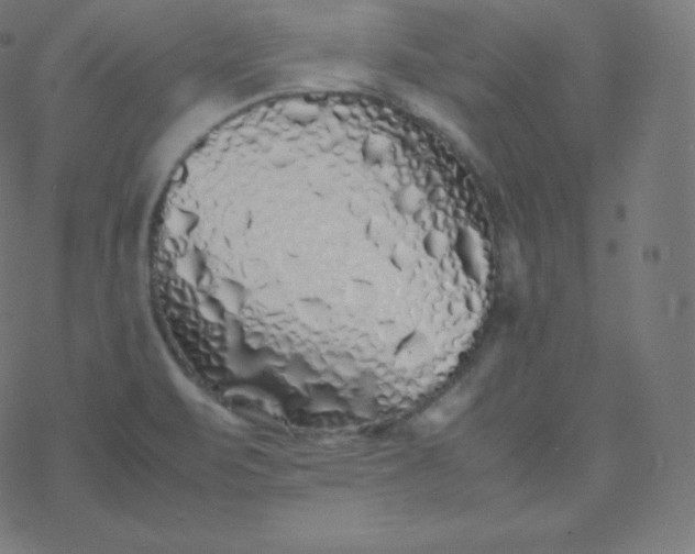 X0000077381471200611031924