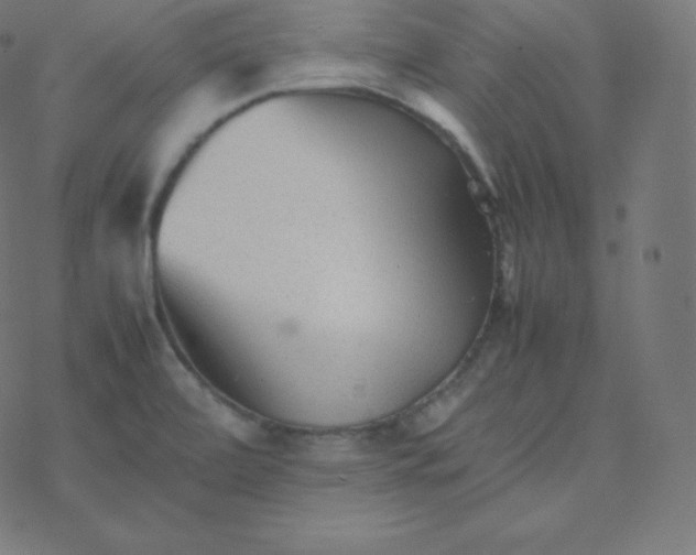 X0000077381472200611031924