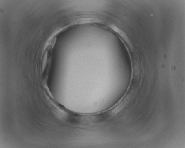 X0000077381473200611031924