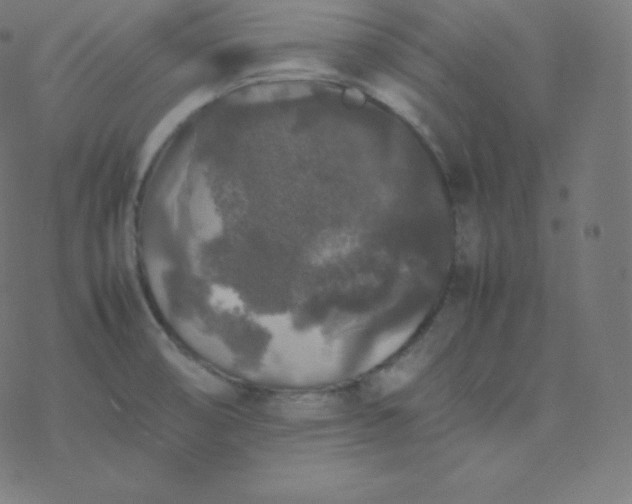 X0000077381474200611031924