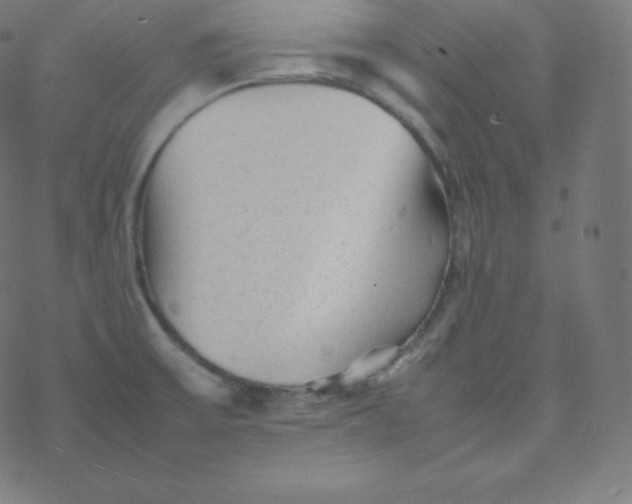 X0000077381475200611031924