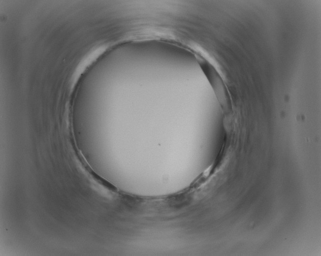 X0000077381477200611031924