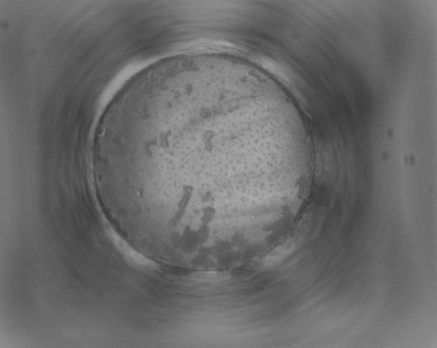 X0000077381478200611031924