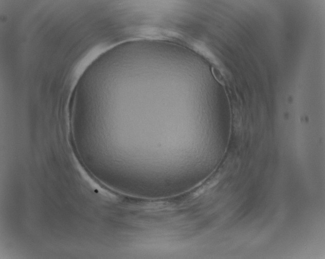 X0000077381479200611031924