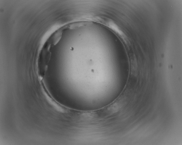 X0000077381480200611031924