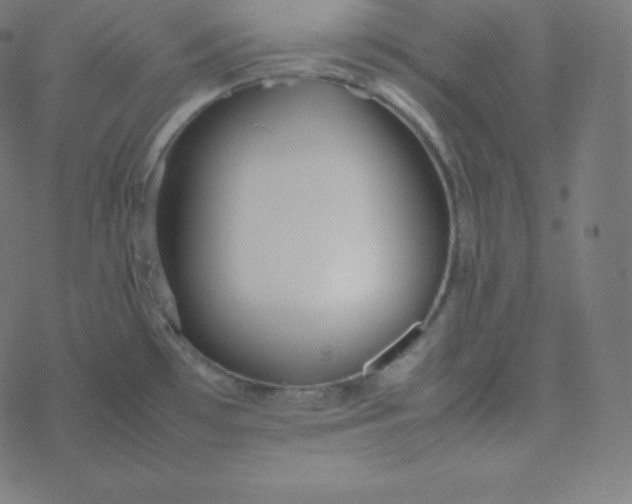 X0000077381481200611031924