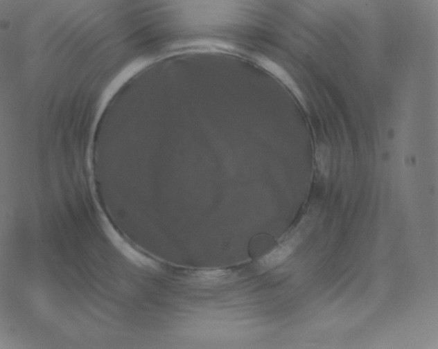 X0000077381482200611031924