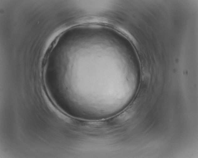 X0000077381483200611031924