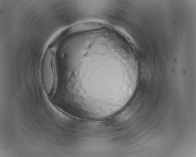 X0000077381484200611031924