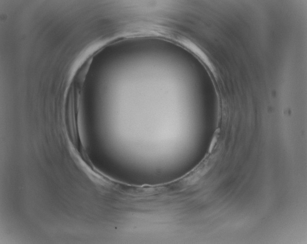 X0000077381485200611031924