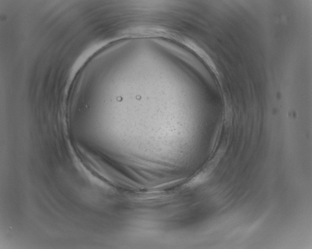 X0000077381486200611031924