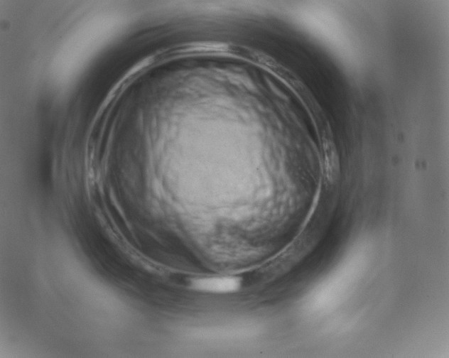 X0000077381487200611031924