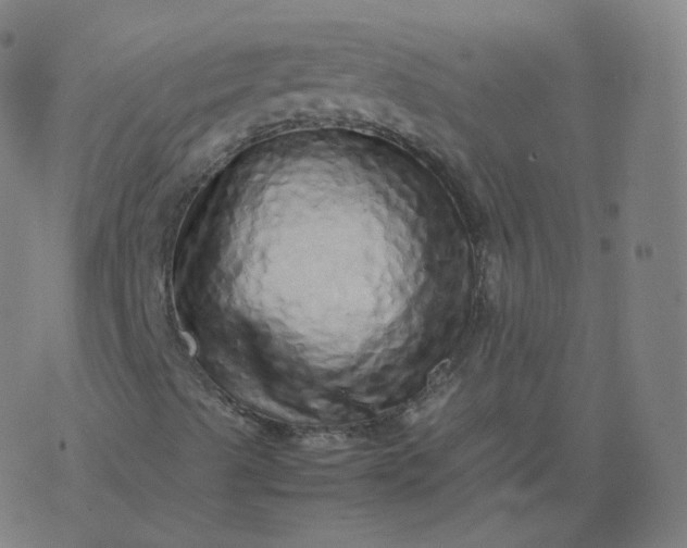 X0000077381489200611031923