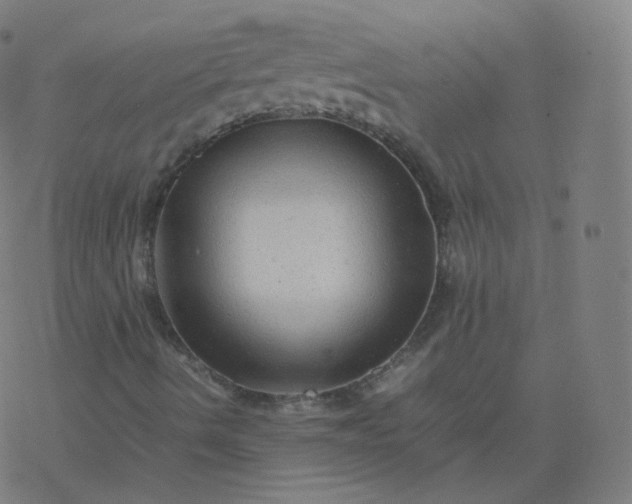 X0000077381490200611031923