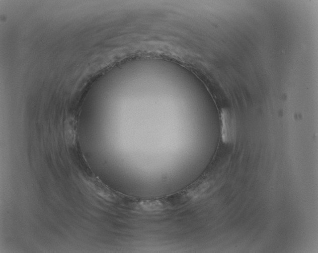 X0000077381491200611031923