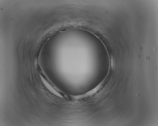 X0000077381492200611031923