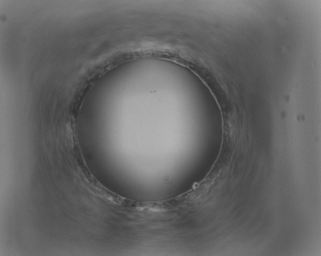 X0000077381493200611031923