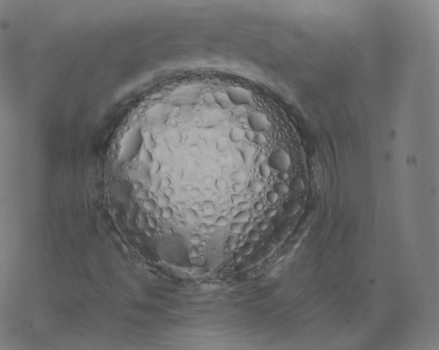 X0000077381494200611031923