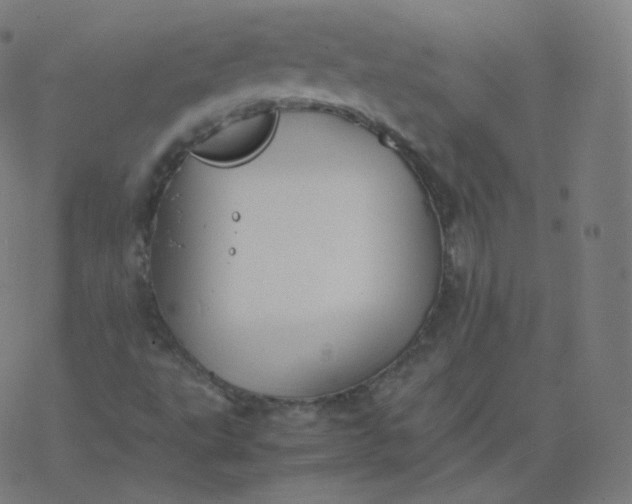 X0000077381495200611031923