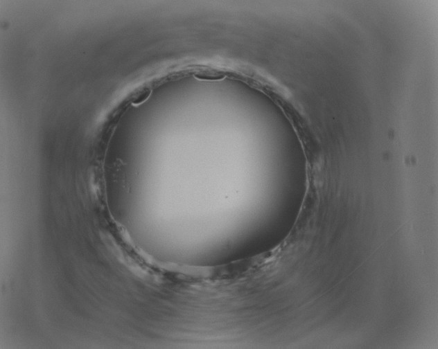 X0000077381496200611031923